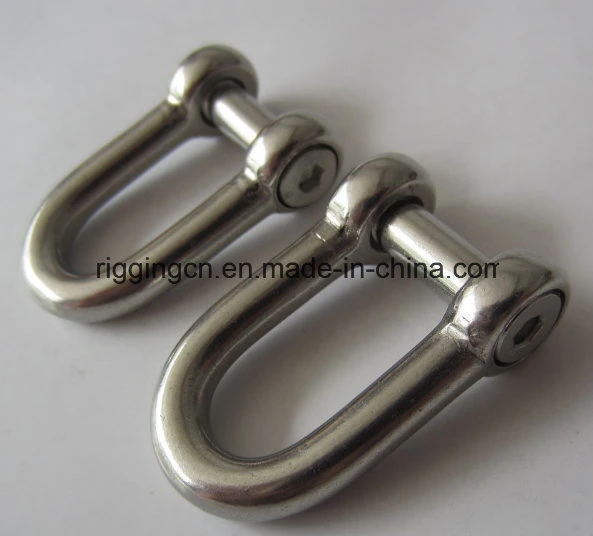 Customized Special Size Width D Shackle in Ss 316