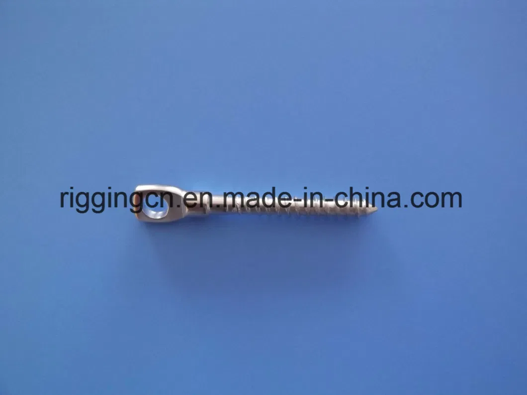Stainless Steel Eye Bolt