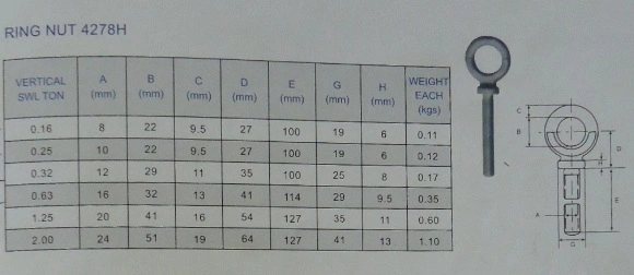 High Tension BS4278h Long Eye Bolt