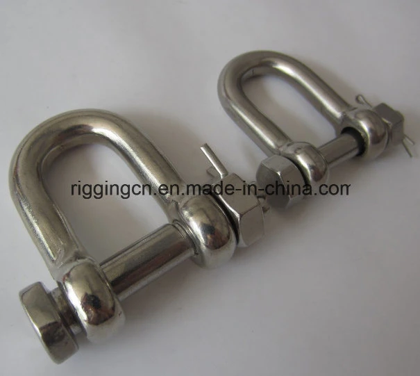 Customized Special Size Width D Shackle in Ss 316