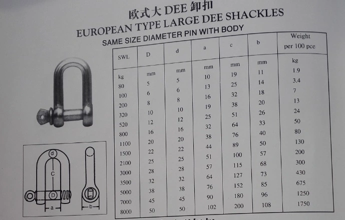 Galvanized Large Dee Screw Pin Shackle Chain Shackle Straight Shackle