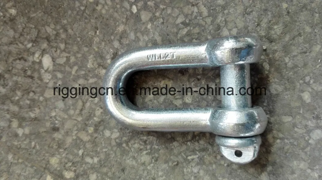 Screw Pin Us Type Steel Drop Forged D Shackle G210