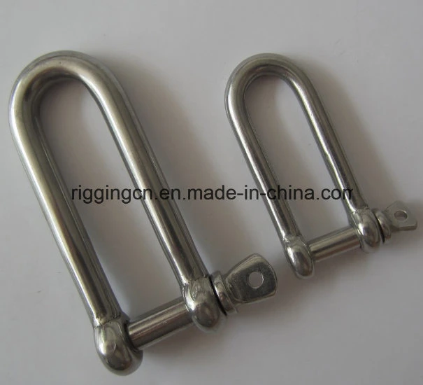 Customized Special Size Width D Shackle in Ss 316
