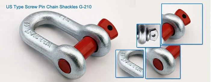 Screw Pin Us Type Steel Drop Forged D Shackle G210
