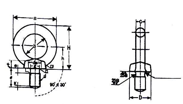 Ss316 Eye Nut (JIS 1169/JIS1168) for Lifting Screw