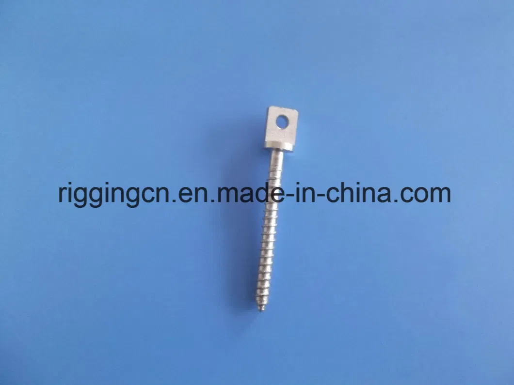 Stainless Steel Eye Bolt