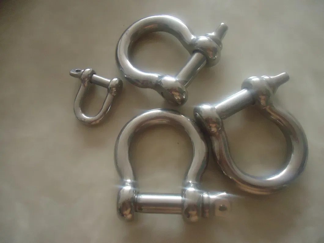 Customized Special Size Width D Shackle in Ss 316