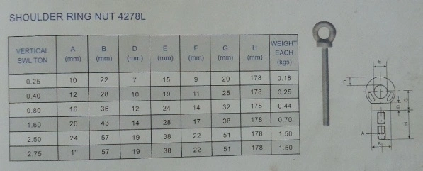 BS 4278L Shoulder Ring Nut Long Eye Bolt with Oil Surface